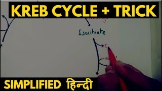 krebs cycle  trick Simplified Hindi [upl. by Talbott]