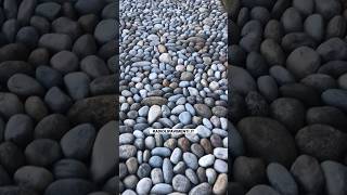 Ciottoli di fiume misura mistaRadioli Pavimenti tiktok skills trending stone skill trend [upl. by Refiffej]