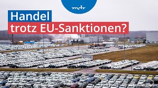 Umgehen von Sanktionen Wie deutsche Autos nach Russland kommen  Plusminus  MDR [upl. by Oikim]