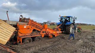 Narcissen planten en wortels rooien in de modder 🚜🥕 [upl. by Aztirak]