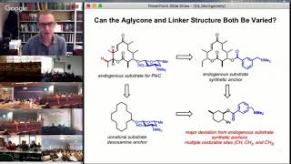 CCHFVS 83  Prof Montgomery Small Molecule and Biological Catalysis in C–H Activation [upl. by Nrubua]