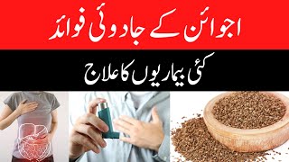 Carom Seeds Health Benefits  Ajwain Ky Fayde  Ajwain Benefits [upl. by Eleonore]