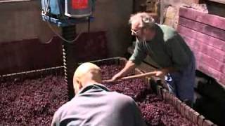 Un pressoir traditionnel en Pays Beaujolais [upl. by Wanonah]