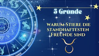 5 Gründe warum Stiere die standhaftesten Freunde sind [upl. by Eissert93]