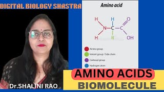 Amino Acids II Biomolecules II Std11Th amp 12Th II Biology II Shalini Rao II Digital Biology Shastra [upl. by Asilrac814]