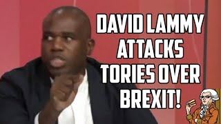 David Lammy Attacks Brexit And Tories For Supplies Staff And Skills Shortages [upl. by Inalak]