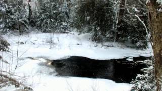 Gateway Creek on the Fen Lake Ski Trail  Algonquin Park [upl. by Wolfson]