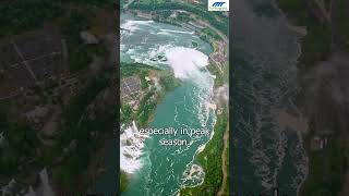 Should I book Niagara Falls tours in advance  ToNiagara [upl. by Ahsahs]