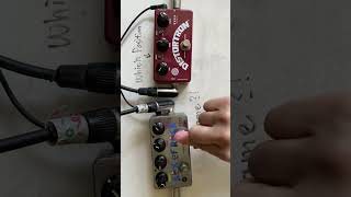 quotBoth Plexi Rocksquot Zvex BOR vs Distortron pedal comparison demo w Telecaster plexi drive shorts [upl. by Urdna]