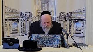 Preparing Ourselves For Yom Kippur  Rabbi Moshe Weinberger Tishrei 5785 [upl. by Bresee]