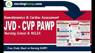 What are Hemodynamic CVP JVD JVP PAWP Wedge Nursing ICU NCLEX Nursing KAMP 2019 [upl. by Humph768]