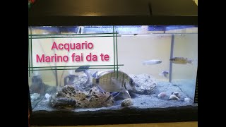 Acquario Marino fai da te semplice e veloce [upl. by Picardi]