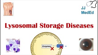 Lysosomal Storage Diseases  Overview and What You Need to Know [upl. by Jadd26]