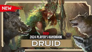 New Druid  2024 Players Handbook  DampD [upl. by Yelloh606]