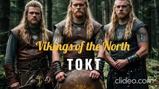 Vikings of the North Acoustic version [upl. by Knowland217]