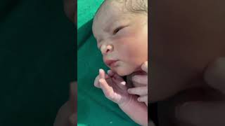 Chubby baby girl newbornbaby viralvideo healthybaby youtubeshorts [upl. by Juni]