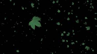 Tree Leaves Falling AnimationBlack Screen Effect [upl. by Shewchuk278]