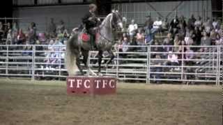 2012 Canadian National Championship Andalusian and Lusitano Horse Show High Lights [upl. by Friederike]