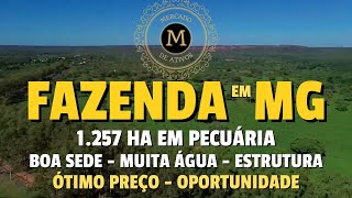 FAZENDA PRODUTIVA EM MG COM 1257 HA ABERTA EM PECUÁRIA ÓTIMA ESTRUTURA  MercadodeAtivos [upl. by Dyrraj]