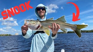 Fishing Sanibel Island for BIG SNOOK [upl. by Ottie]