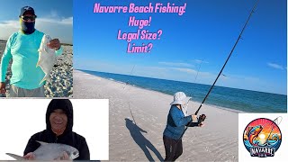 Beach Fishing Florida Gulf Coast Navarre Beach PompanoSaltwater ActionSurf Fishing [upl. by Paver]