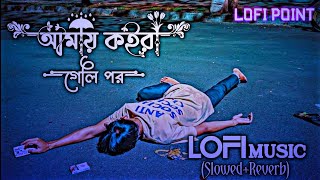 আমায় কইরা গেলি পর  Amay Koira Geli Por  Slowed Music  Slowed Reverb Lofi Music  Lofi Point [upl. by Nohsad]