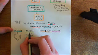 Parkinsons Disease and Antiparkinson Drugs Part 4 [upl. by Irved]