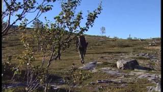 Villmarksliv Rypejakt med Vebjørn Rodal og Gerhard Heiberg hos Plahtes Eiendommer [upl. by Giordano398]