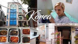 Goshiwon Room Tour  Wohnen in Seoul  Auslandssemster Vlog 10 [upl. by Jeggar390]