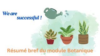 Petit résumé du module botanique Deuxième année SNV [upl. by Notyarb167]