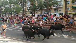 Fiestas Dénia 2018 Última entrada de toros [upl. by Acnairb]