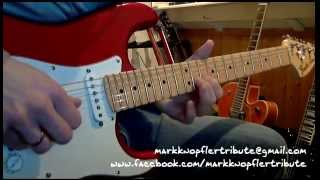 Mark Knopfler Tribute  Redbud Tree [upl. by Ayatnwahs]