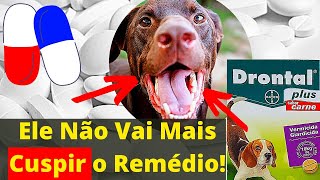 SEGREDO COMO DAR COMPRIMIDOS PARA CACHORRO  Remédio para Cães Não Cuspir Medicamentos [upl. by Enyala677]