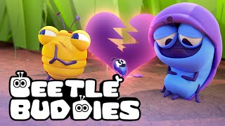 BEETLE BUDDIES in quotBed Bitesquot and more🪲🐛🐞  Cartoon Compilation [upl. by Kirat]