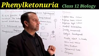 Phenylketonuria Class 12 Biology  Point Mutation  DNA and Chromosome [upl. by Ailliw]