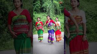 O Hachure Nilgiri l Pansuna Rabha ll New Rabha Cover song video 2024 [upl. by Llevart374]