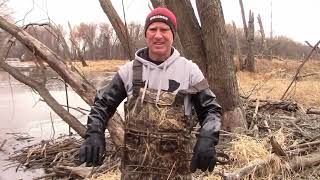 Beaver Tales  Part 19 How to set a conibear trap for beavers [upl. by Kohler870]