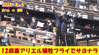 【20240405】１２回裏松剛申告敬遠・アリエルマルティネスでサヨナラ時のベンチの様子 [upl. by Potts88]