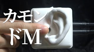 ASMR 耳珠をタッピング Tragus Tapping  SR3D No Talking [upl. by Adianes657]