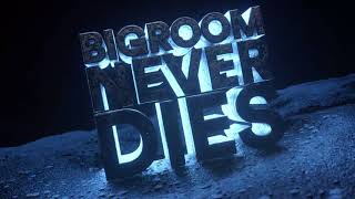 Hardwell amp Blasterjaxx feat Mitch Crown  Bigroom Never Dies Visual Video [upl. by Vaclava]