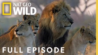 Win or Die Full Episode  Savage Kingdom [upl. by Thaddaus]