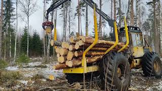 Winter 2023 logging  wet conditions  LKT81 [upl. by Oskar]