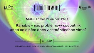 Tomáš Páleníček  Kanabis ÚMKP NUDZ 8112018 [upl. by Thisbe664]