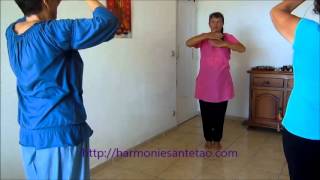 Qi Gong les 8 paumes du Ba Gua [upl. by Wenz370]