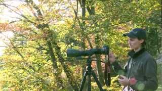 Video tutorial SWAROVSKI OPTIK Digiscoping camera adapter TLS APO for ATXSTX spotting scopes [upl. by Yahsal829]