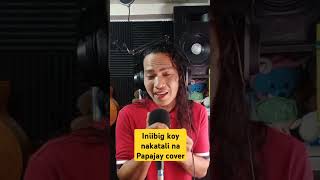 INIIBIG KOY NAKATALI naluma pero malakaspapajay cover musikarequest [upl. by Akina]