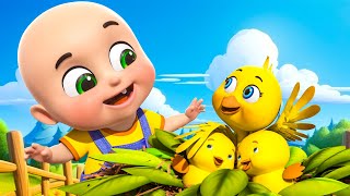 Chidiya Rani Badi Sayani  चिड़िया रानी  Hindi Nursery Rhymes  बाल कविताएं  Jugnu Kids India [upl. by Tterb]