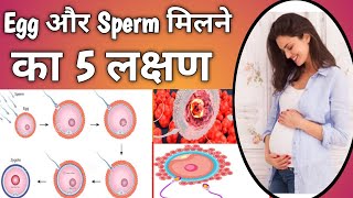 Successful Fertilization Symptoms in Hindi।Early Pregnancy symptoms।Pregnancy Ke Lakshan।preganancy [upl. by Semaj]