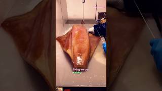 🦑 Giant Squid Skin Peeling Process  ASMR Calamari Prep squid cuttlefish calamar short trending [upl. by Royo]