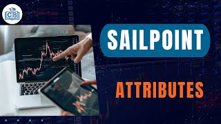 Attributes  Learn Sailpoint  Overview on Sailpoint  Sailpoin for Beginners  Cyberbrainer [upl. by Nuawed68]